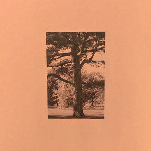 AV➕无码➕白丝➕高潮
