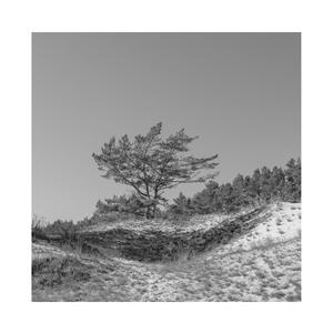 AV➕无码➕白丝➕高潮
